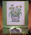 2008/10/12/green_and_marigold_bucket_of_posies_by_SusieQ4417.jpg