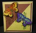 2008/10/15/Manly-Zen-Butterfly-Card_by_TheresaCC.jpg