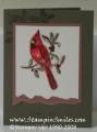 2008/10/27/Cardinal_Christmas_by_scattered.jpg