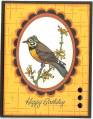 2008/11/04/Horned_Finch_Birthday_by_knoxville8625.jpg