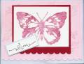 2008/11/16/butterfly_glitter_card_by_meluvstampin.jpg