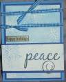 2008/12/09/blue_and_white_card_by_Baker_88.JPG