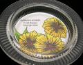 2009/01/04/yellow_flower_jewery_dish_melanies_celebration_017_2_by_Stampfilled_Dreams.jpg