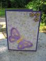 2009/01/11/No_Stamp_Card_BUTTERFLY_with_piercing_by_CarinaCards.jpg