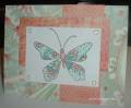 2009/02/10/SC215_paisley_butterfly_by_crooked_river.jpg