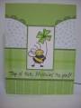 2009/02/17/St_Patrick_Bee_by_crafterthoughts.jpg