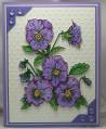2009/02/25/pansy_by_diannep575.jpg