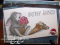2009/02/26/Funny_Bunny_by_KY_Southern_Belle.jpg