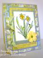 2009/03/03/CDS_Daffodil_March_release_je_by_joan_ervin.jpg