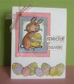 2009/03/05/SADF_easter_delivery_dmb_by_dawnmercedes.JPG