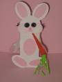 2009/03/10/Bunny_SU_Carrot_Pattern_001_by_Stamps_amp_Paper_Fun.JPG