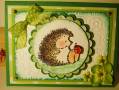 2009/03/29/green_hedgehog_ladybug_card_2_by_creativecardcorner.jpg