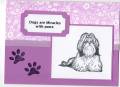 2009/04/02/Dogs_are_Miracles_with_a_Shih_Tzu002_by_Soni_B.jpg