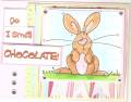 Chocolate_
