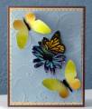2009/04/07/cc213_butterfly_flowers_by_sumtoy.jpg
