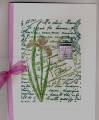 2009/04/09/PostcardFlowerCollage_by_stamps4funGin.jpg