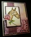 2009/04/30/Equine-Rose_by_TheresaCC.jpg