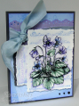 2009/05/01/Remember_Violets_CO_0409_by_ChristineCreations.png