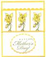 2009/05/04/Mother_s_Day_Card_002_by_pvilbaum.jpg