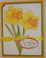 2009/05/12/CC218_FTTC15_Only_Sunny_Daffodils_by_mnfroggie.JPG