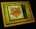 2009/05/12/Yellow-Rose_by_TheresaCC.jpg