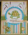 2009/05/17/Get_Well_Turtle_by_cathymac.JPG