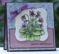 2009/05/19/FLLC_Violet_Square_Card_by_peanutbee.png
