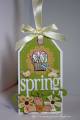 2009/05/20/Tue_Taggers_Spring_by_Tillymint.jpg