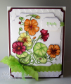 2009/05/21/Friends_and_Nasturtiums_CO_0409_by_ChristineCreations.png