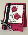 2009/05/22/Embossed_Border_5_CO_0509_by_ChristineCreations.png