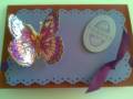 2009/05/25/GLOSSY_STIPPLED_BUTTERFLY_CARD_by_TraceyMay1.jpg