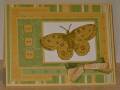 2009/05/27/SC230-Butterfly-Sketch_by_cmsuto.jpg