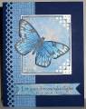 2009/05/31/GKMAYTM_mms_blue_butterfly_by_lacyquilter.jpg