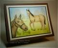 2009/06/07/Horses-in-Pasture_by_TheresaCC.jpg