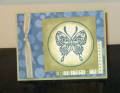 2009/06/17/Blue_Bayou_Butterfly_by_Clownmom.jpg