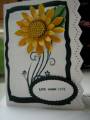 2009/07/14/Sunflower_card_by_Glendelia.JPG