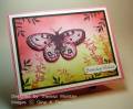 2009/07/17/Pink-Butterfly_by_TheresaCC.jpg