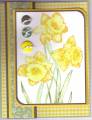 2009/07/26/daffodil_buttons_by_Illinois_Marge.jpg