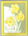2009/07/26/daffodil_easter_by_Illinois_Marge.jpg