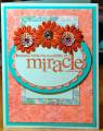 2009/08/07/Everyday_miracle_by_The_Paper_Freak.JPG
