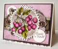 2009/08/15/Chocolate_Cherries_CO_0709_by_ChristineCreations.png