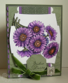 2009/08/16/Fluttering_Daisies_CO_0709_by_ChristineCreations.png
