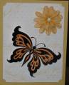 2009/08/17/butterfly_thank_you_by_GrandmaUpNorth.jpg