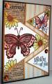 2009/08/23/Thinking_of_You_Butterfly_by_tlfrank.jpg