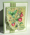 2009/08/29/Berries_and_Baskets_CO_0809_by_ChristineCreations.png