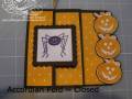 2009/08/30/August_28th_Video_Tutorial_Accordian_Fold_Card_Closed_wm_by_mishaloots.jpg