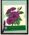 2009/09/05/purple_flowers_case_card0001_by_hotwheels.jpg