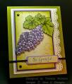 2009/09/06/Grateful-Grapes_by_TheresaCC.jpg