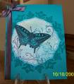 2009/10/10/Butterfly_Inspiration_by_Zigzag.jpg