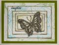 2009/10/15/pyramid_butterfly_by_sewphisticats.jpg